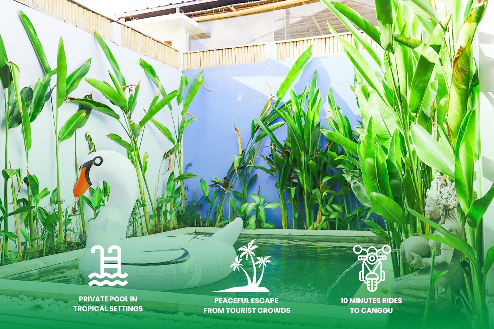 Peacock Private Pool Paradise Dalung  Ngoại thất bức ảnh